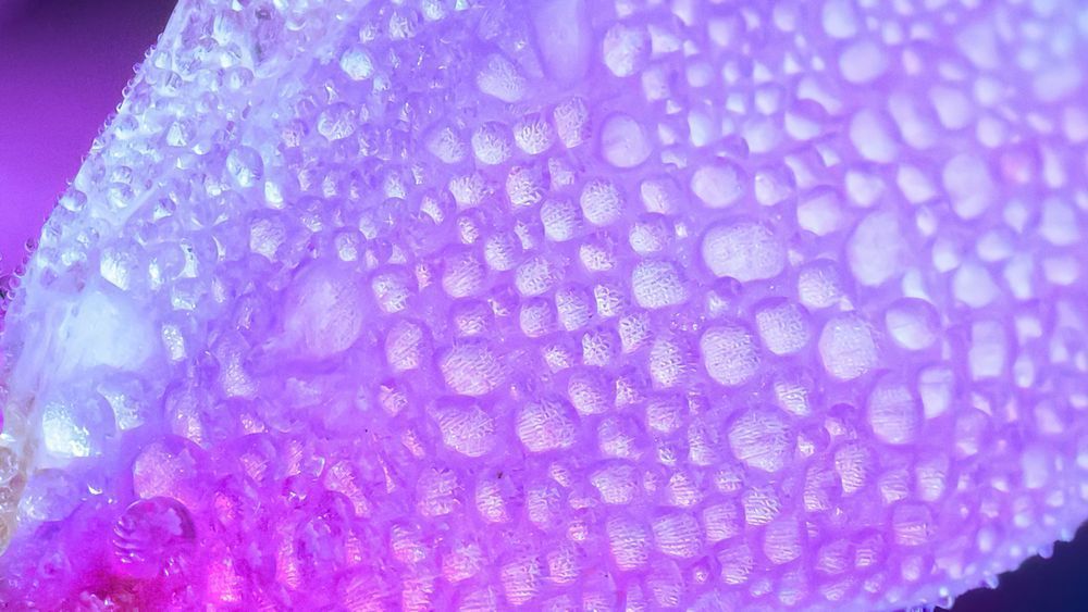 Color Drift