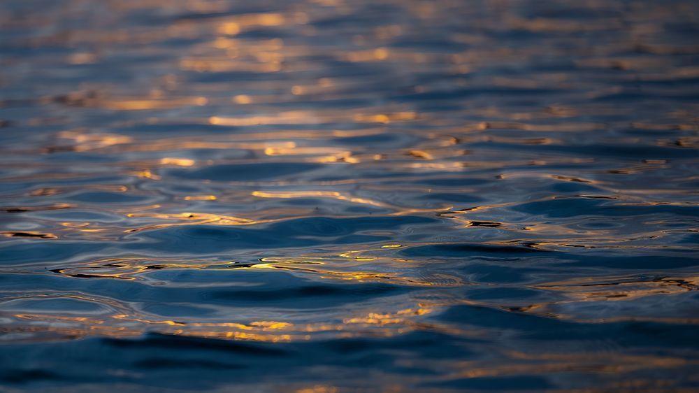 Liquid Gold