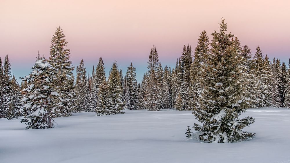 Before Dawn
