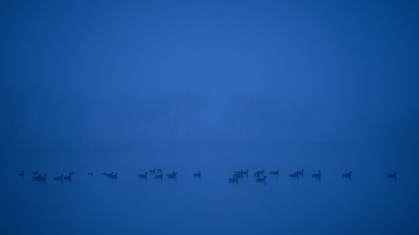 Blue Silence – fine art nature photography