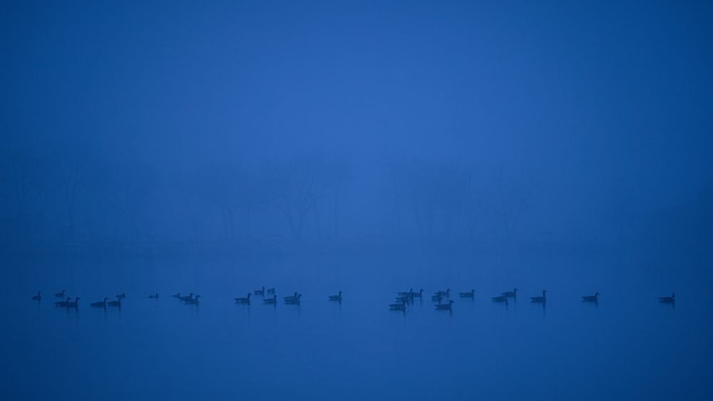 Blue Silence – fine art nature photography