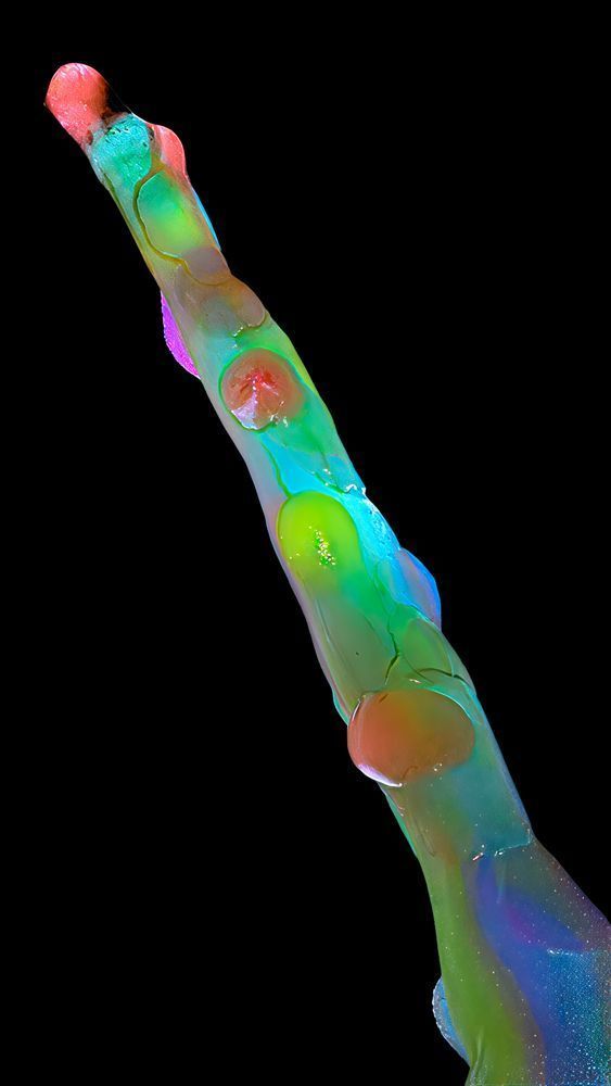 Cosmic Asparagus – fine art nature photography