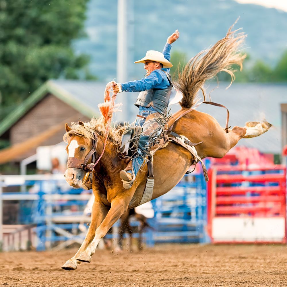 Cowboy Yoga – rodeo action photography