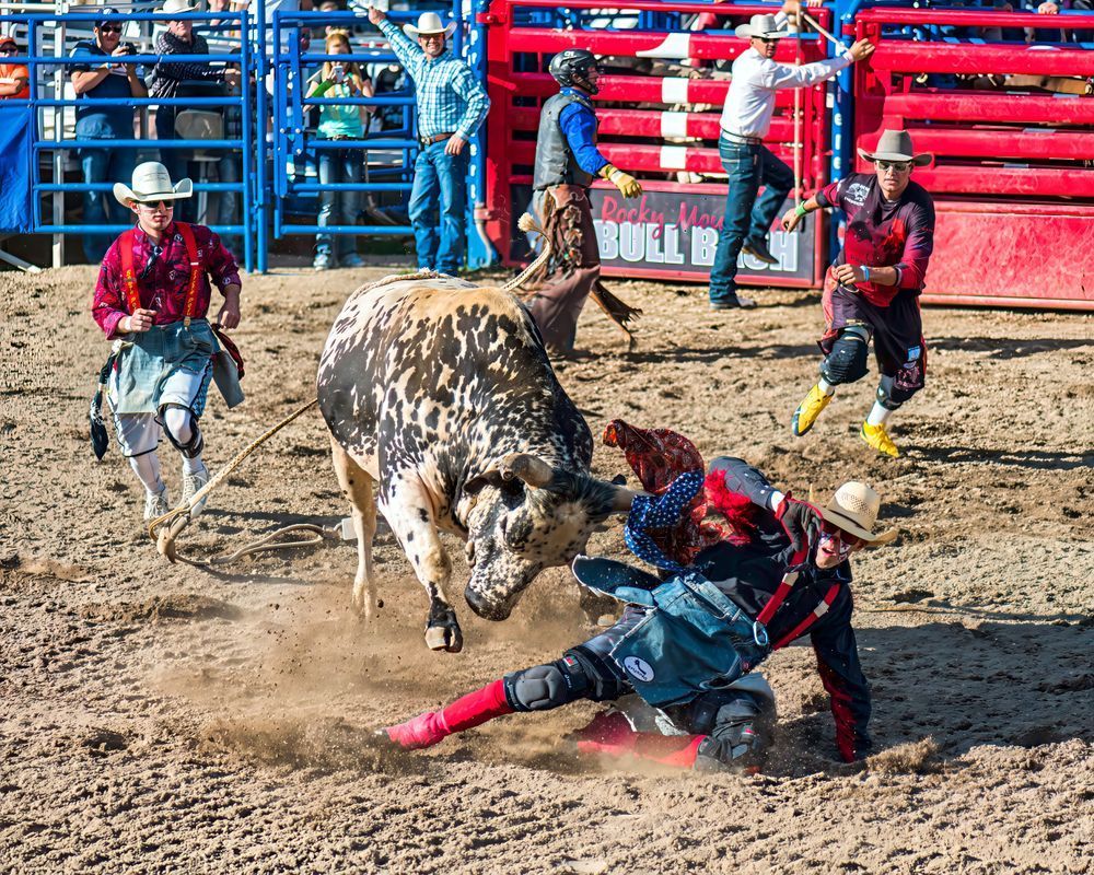 Rodeo