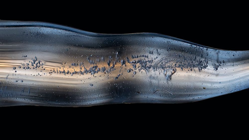 Axial Light III – abstract ice photography