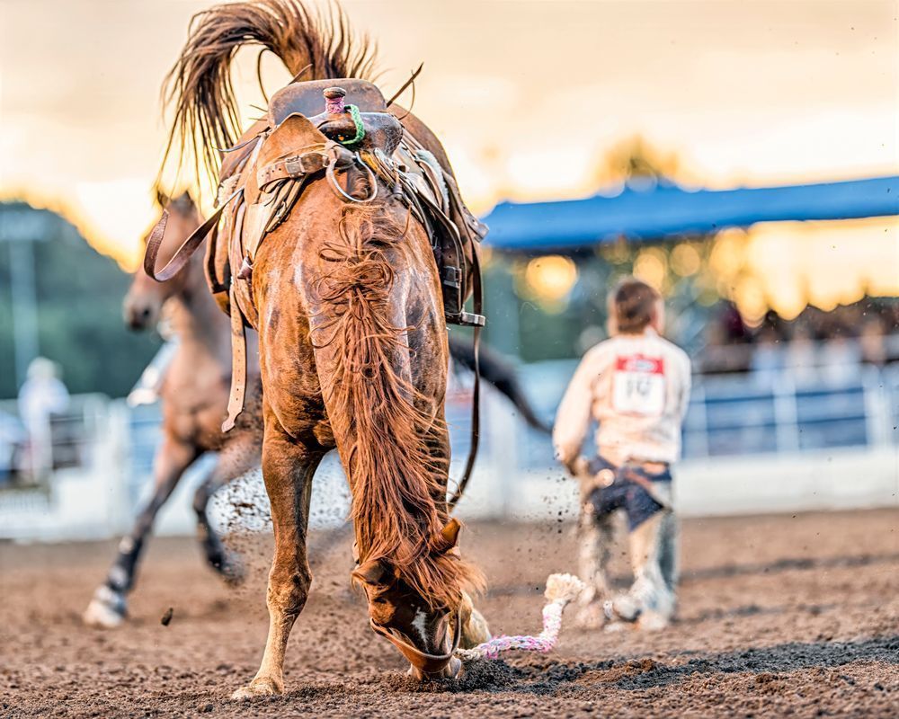 Aftermath – fine art nature photography