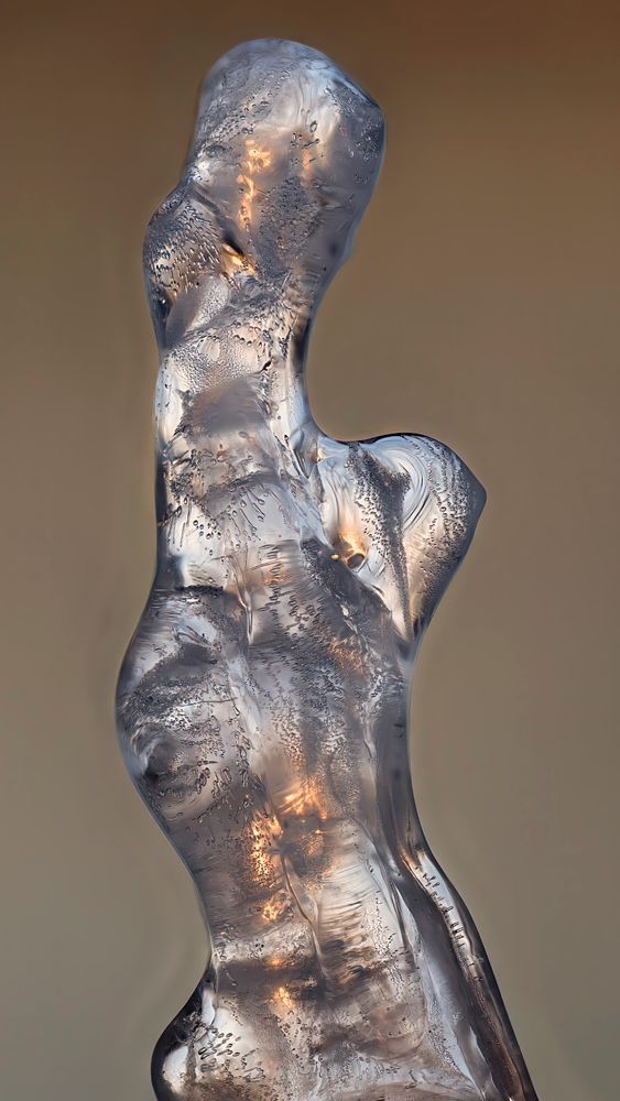 Frosted Torso – abstract ice photography