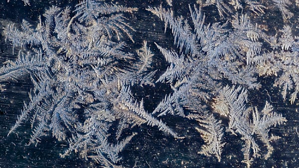 Frost Cartography – abstract ice photography