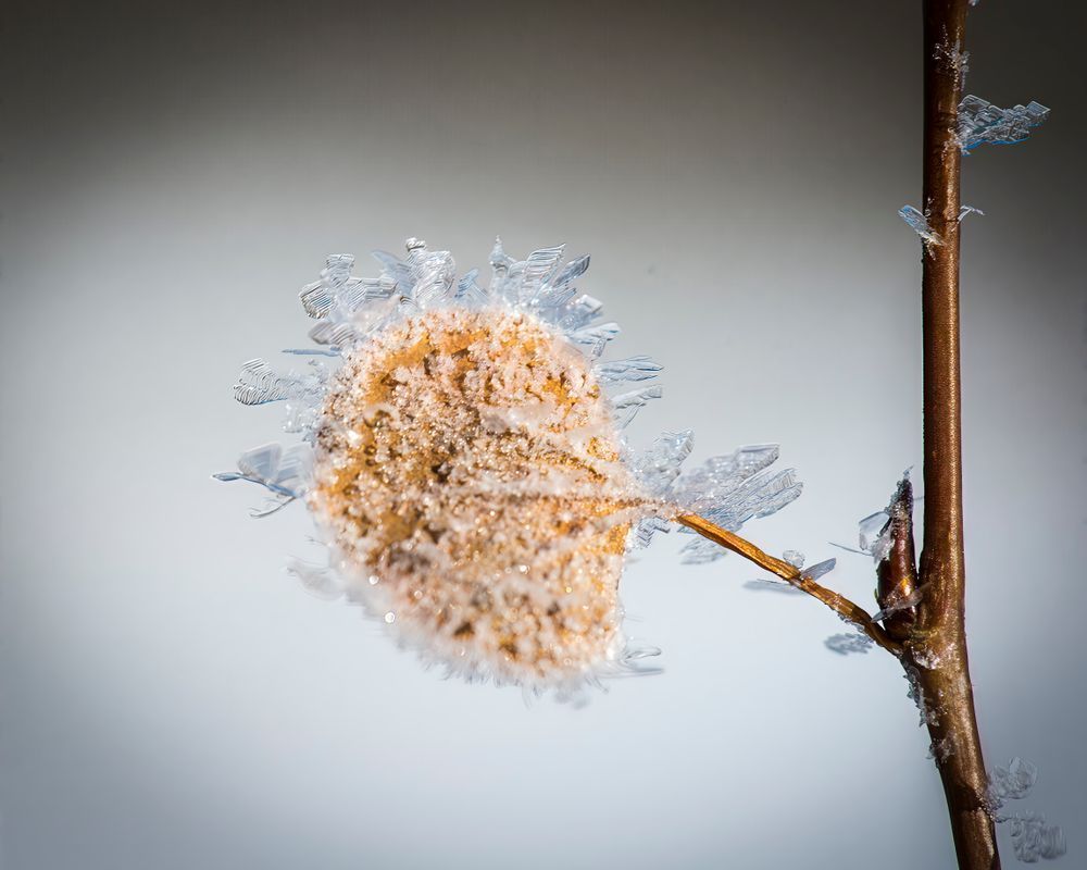 Frozen Geometry