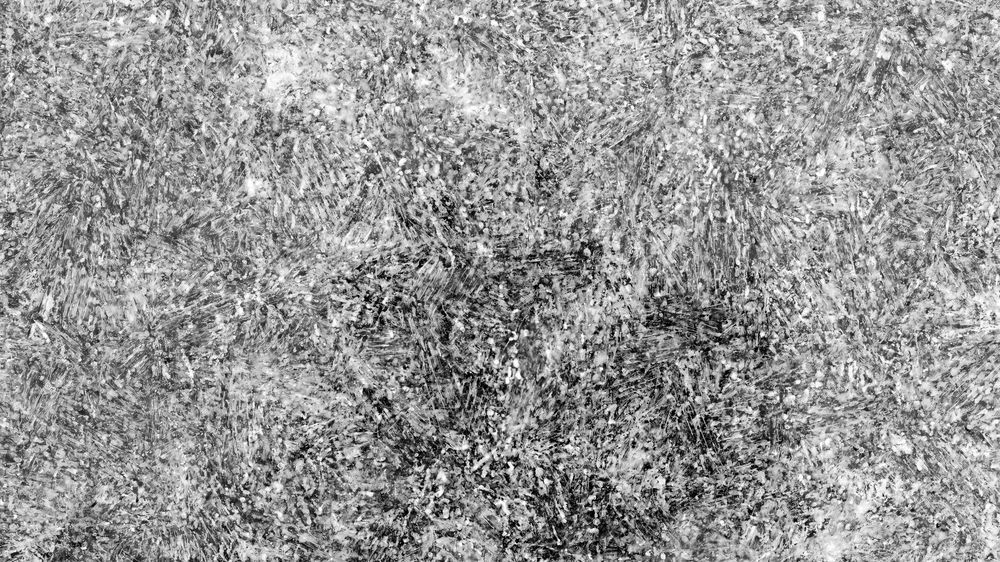 Frozen Noise