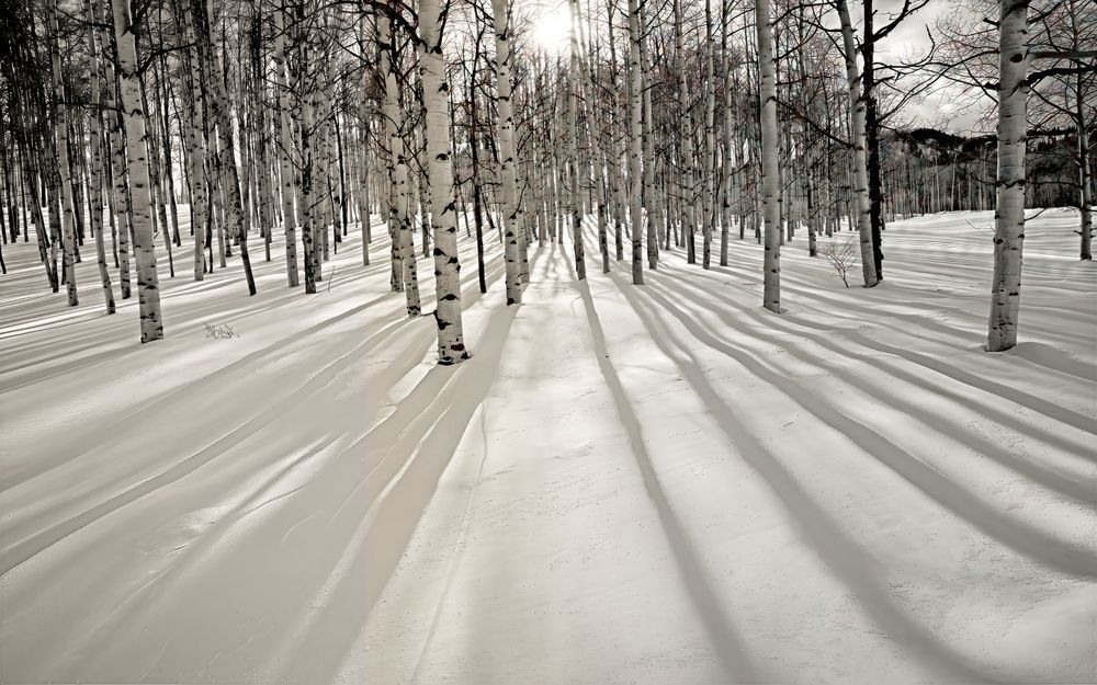 Fielders Lesson – fine art nature photography