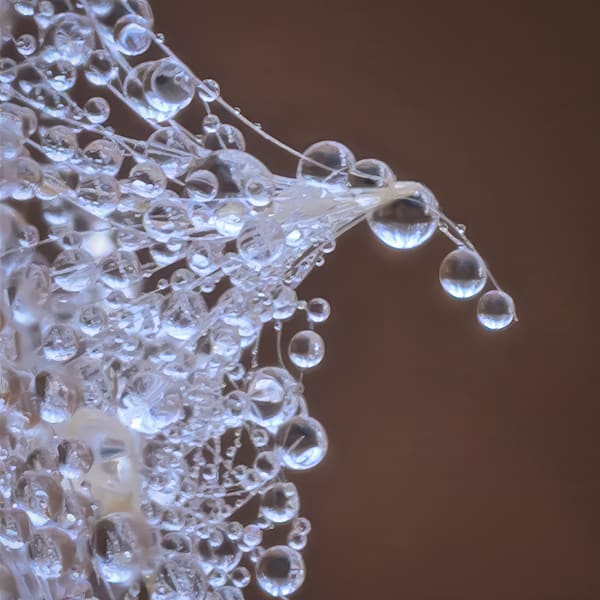 Gravity Thread – fine art nature photography