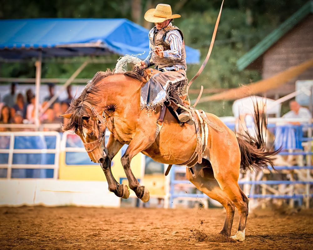 Get Off Me – fine art nature photography