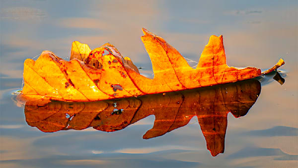 Golden Drift – astrophotography landscape