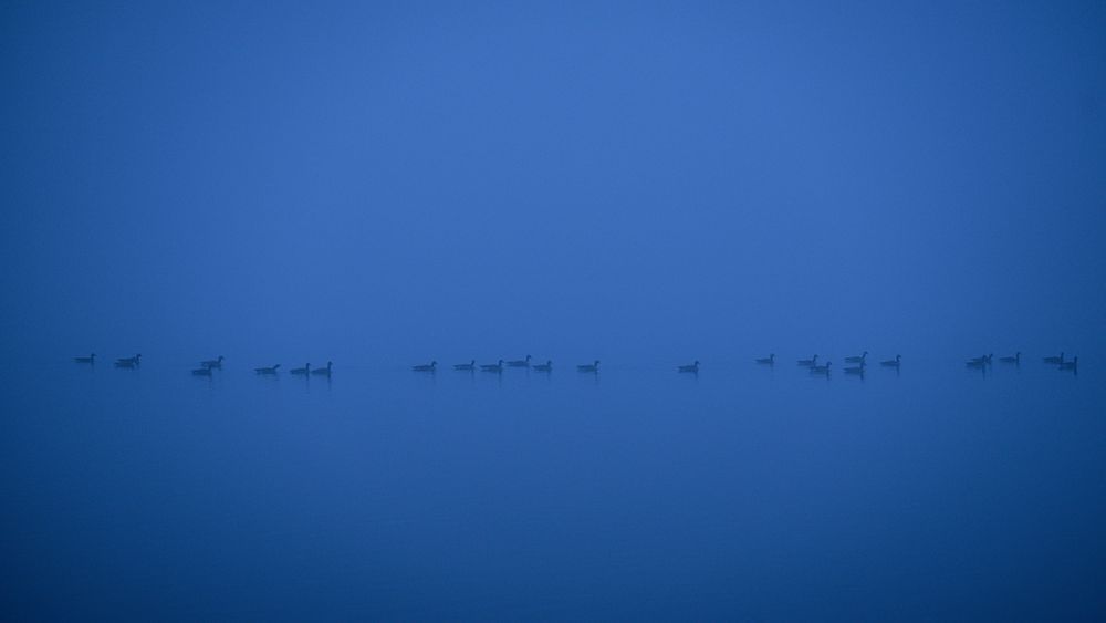 Drift – astrophotography landscape