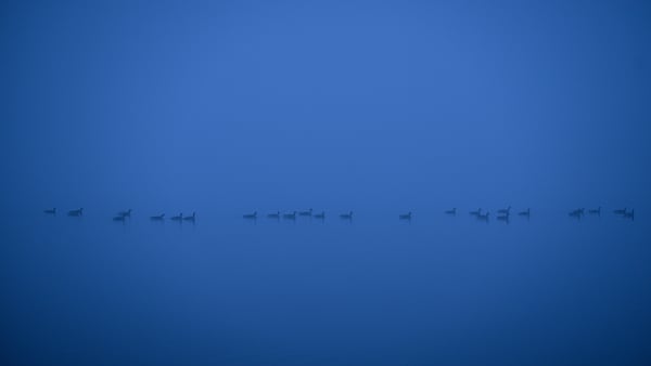 Drift – astrophotography landscape