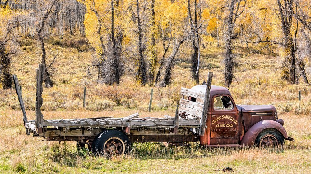 Days Gone By