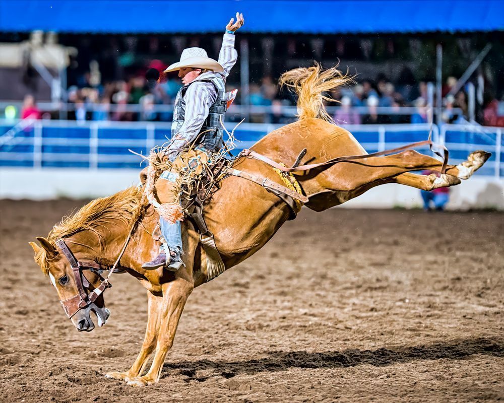 Bucking Cowboy – rodeo action photography