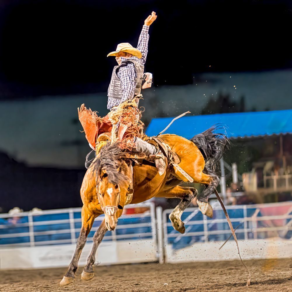 Hold My Beer – fine art nature photography