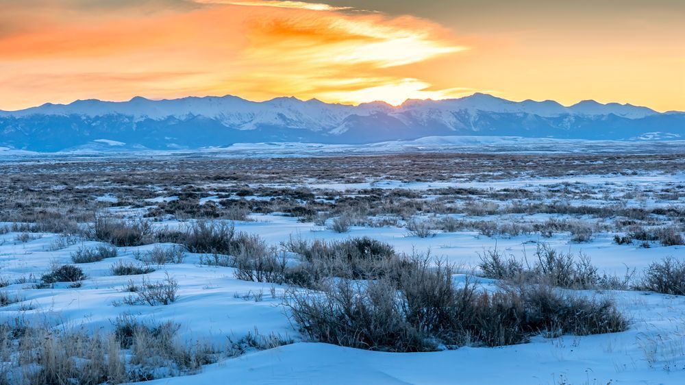 High Desert Dawn