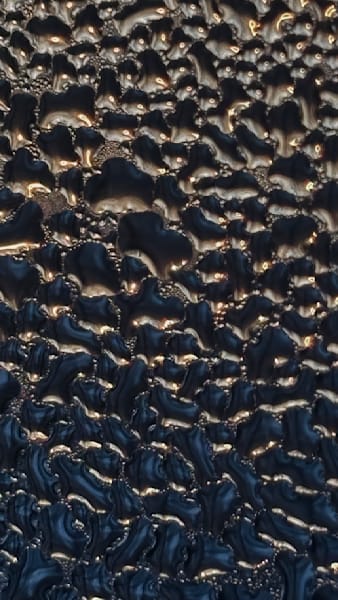 Into the Light – fine art nature photography