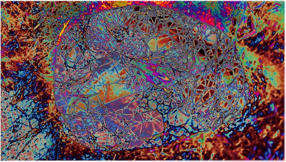Lattice Aperture Alt