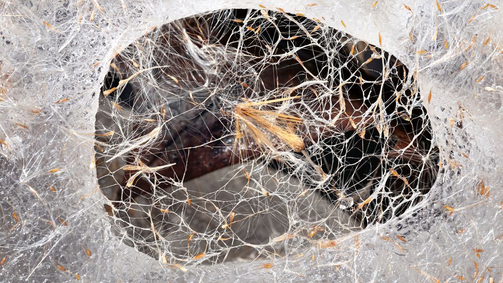 Lattice Aperture