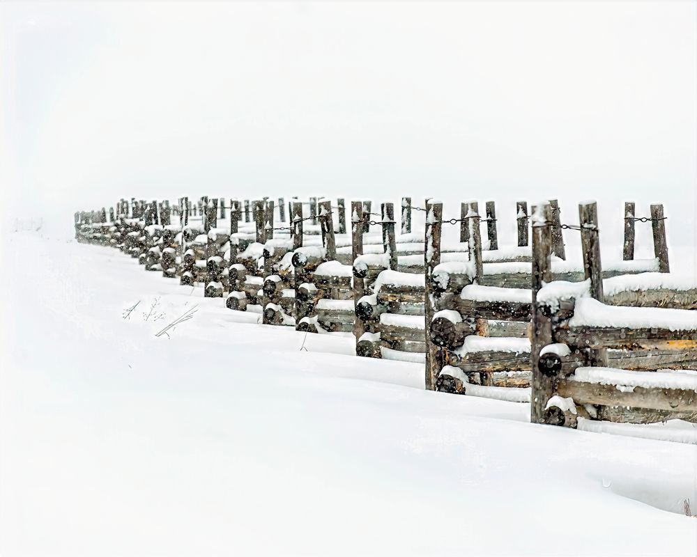 Land Line – fine art nature photography