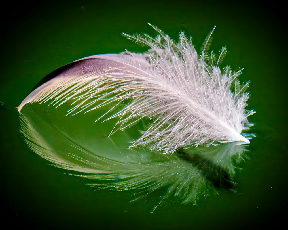 Lost and Found – fine art nature photography