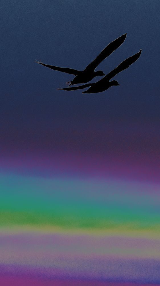 Abstract Exploratory