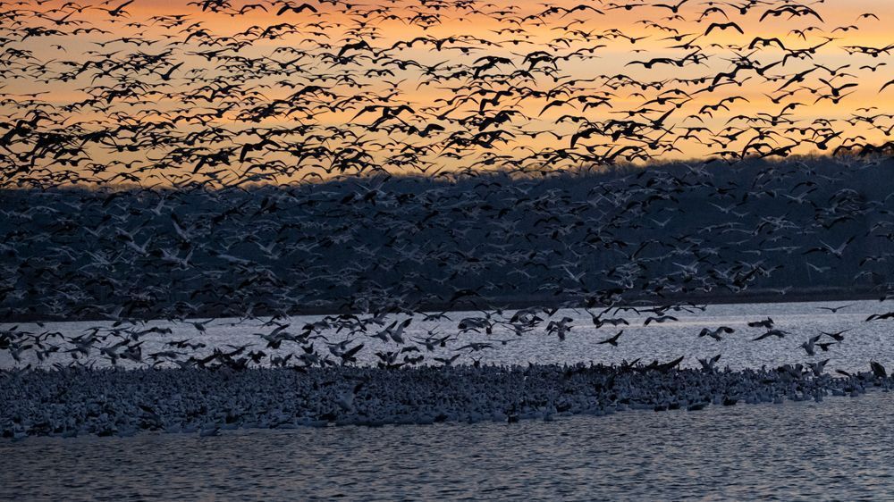 Morning Lift – fine art landscape photography