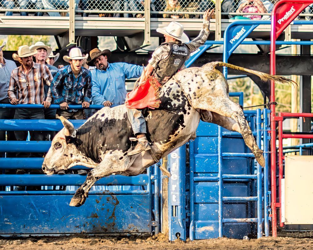 Rodeo Days – rodeo action photography