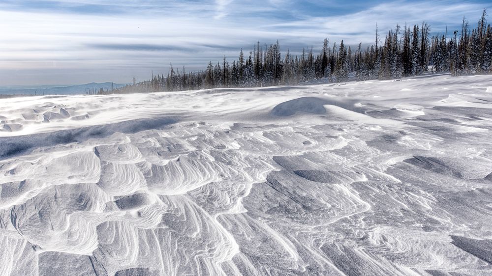 Snow Blown – fine art nature photography