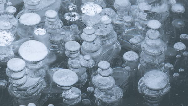 Silver Dollars – abstract ice photography