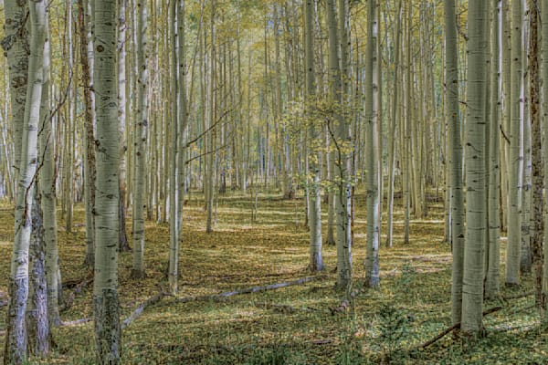 Paradise Found – fine art nature photography