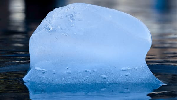 Quiet Mass – fine art nature photography