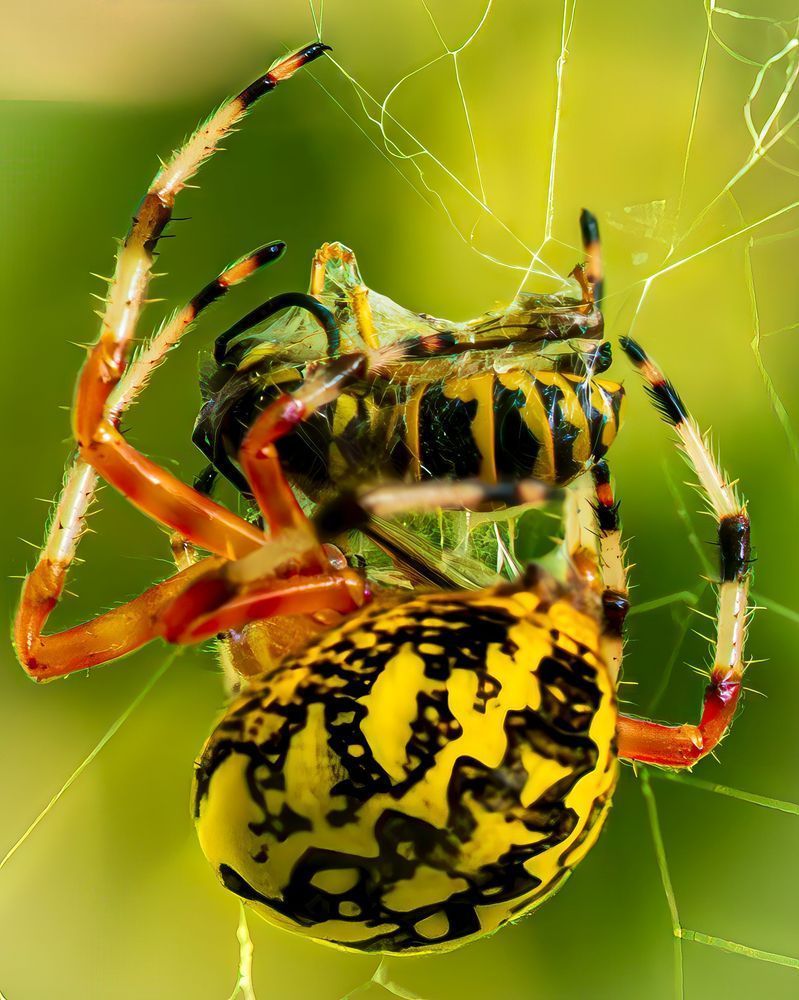 Wrong Place Wrong Time – fine art nature photography