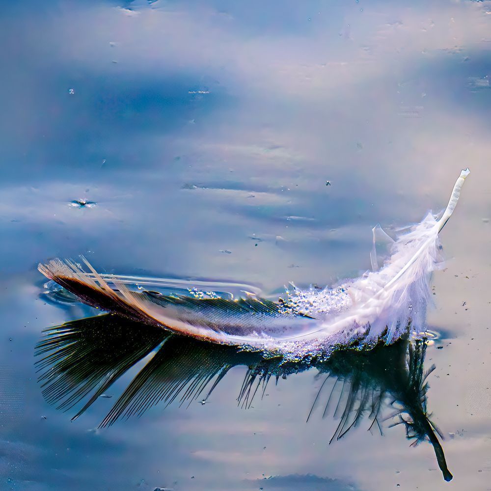 Weightless Drift