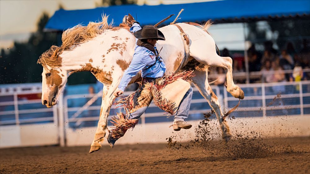 Which Way – fine art nature photography