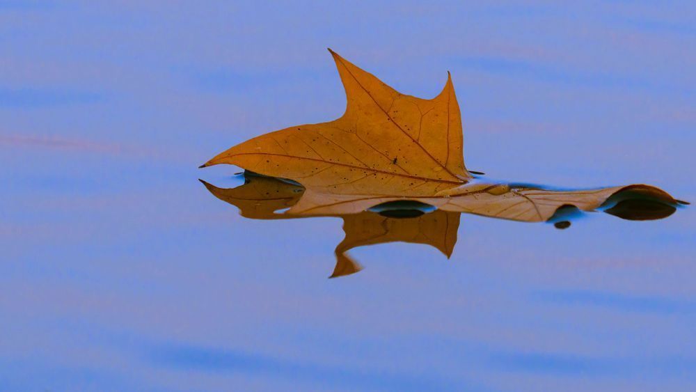 Winter drift – astrophotography landscape