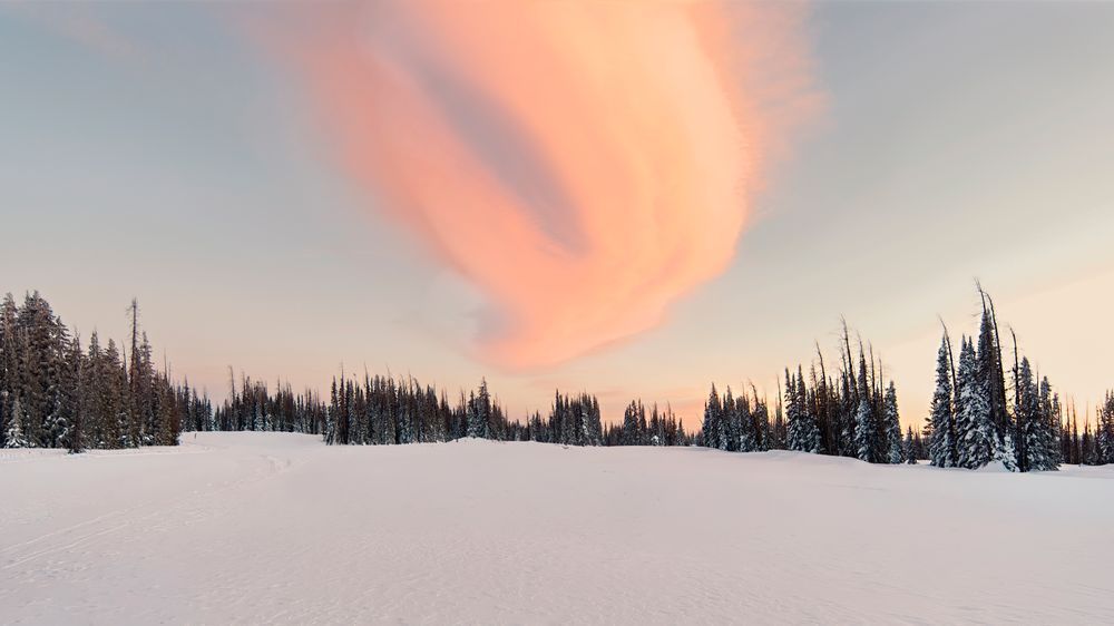 Winter Brushstroke – fine art nature photography