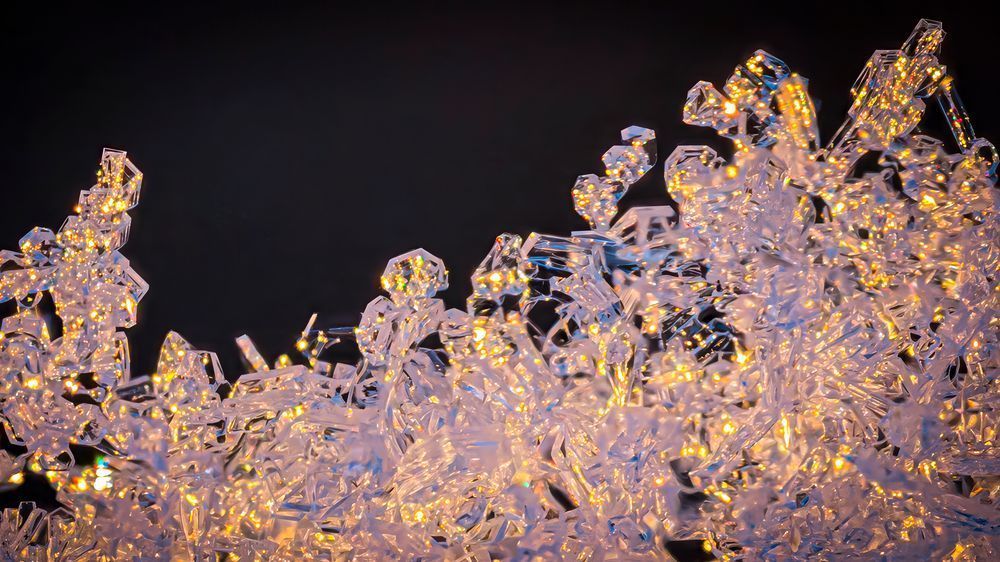 Winter Lattice