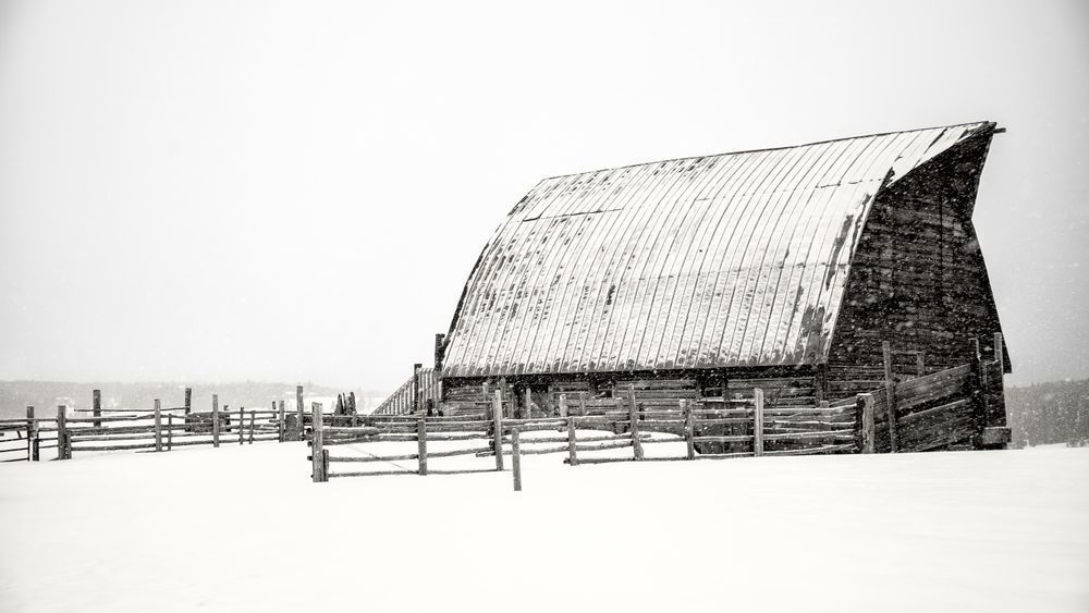 Winter Solace – fine art nature photography