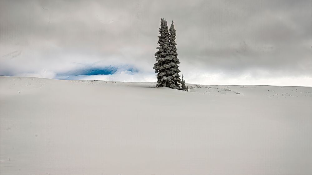 Tranquility – fine art nature photography