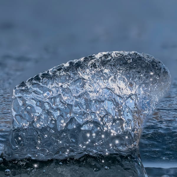 Texture Uprising Artist Cut – fine art nature photography