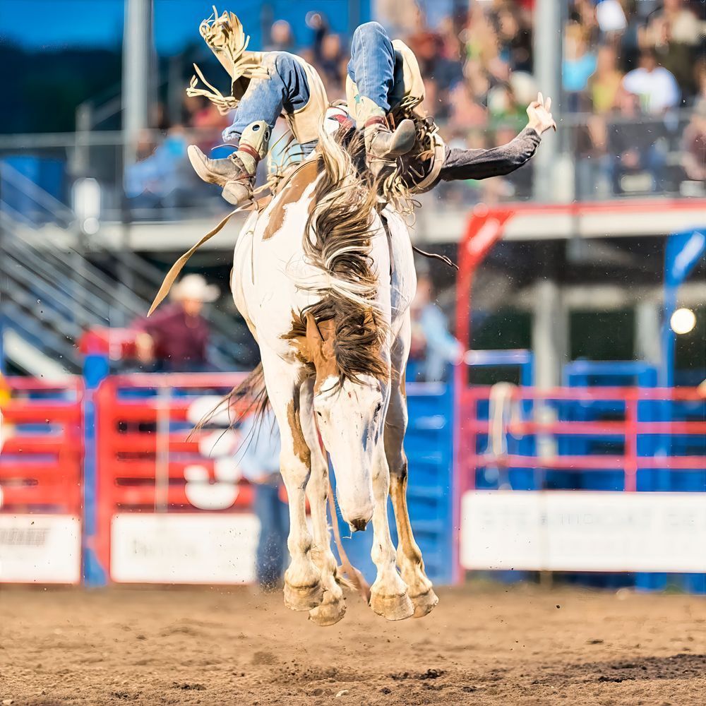 The Moment Between – fine art nature photography