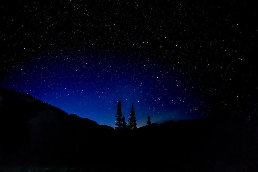 The Silent Three – fine art nature photography