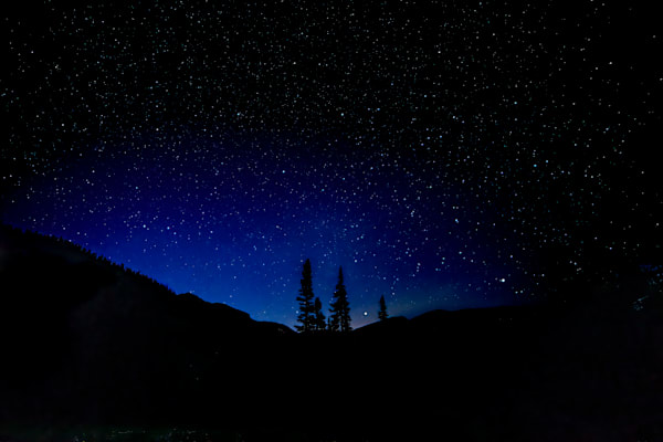 The Silent Three – fine art nature photography