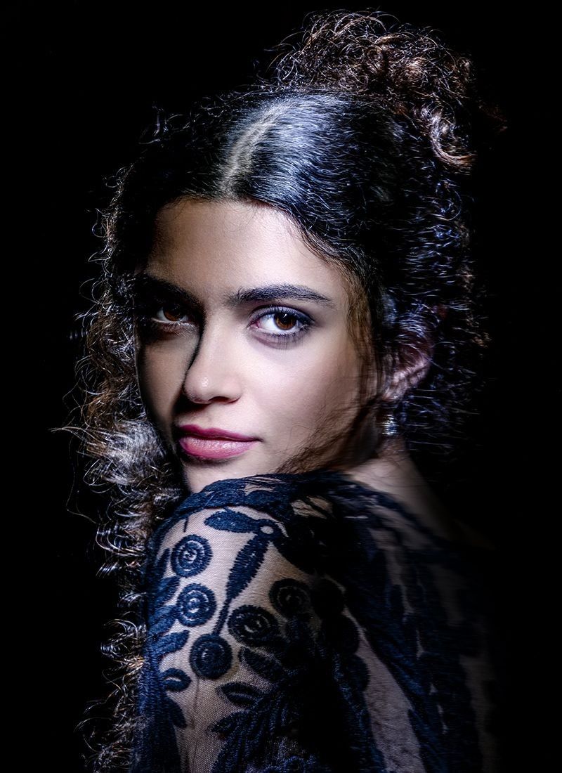 
        <div class='title'>
          Light painting portrait of a woman in dramatic low key lighting
        </div>
       
        <div class='description'>
          Example of a commissioned light painting portrait artwork
        </div>
      