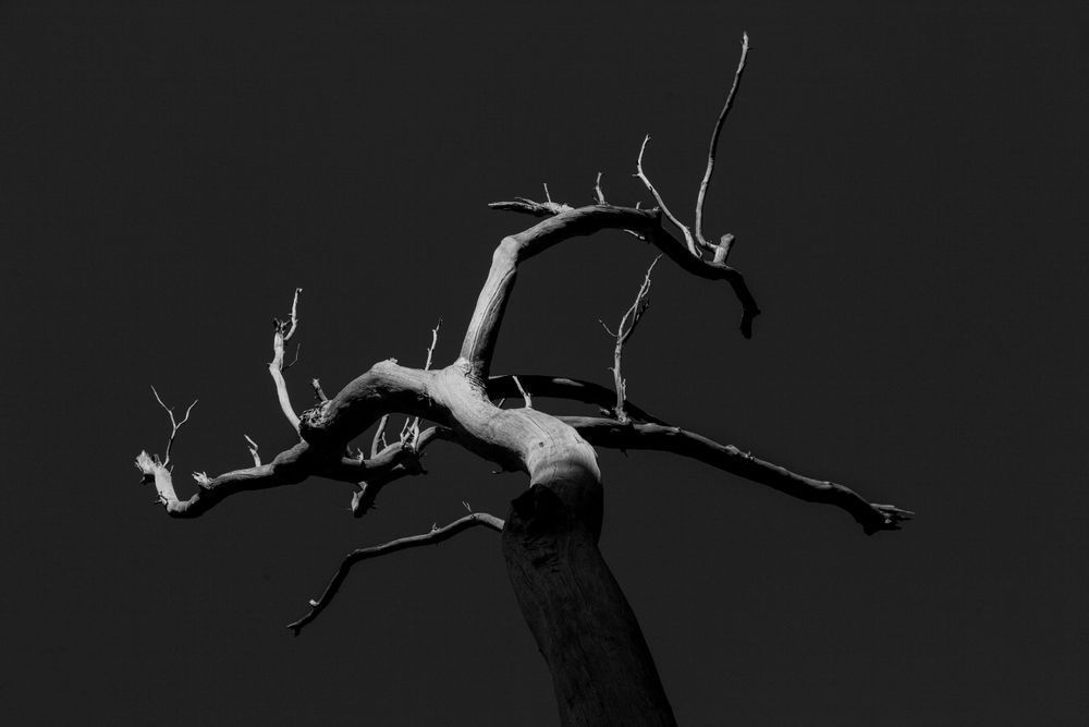 Loneliness Art | ANASTASE PHOTOGRAPHY